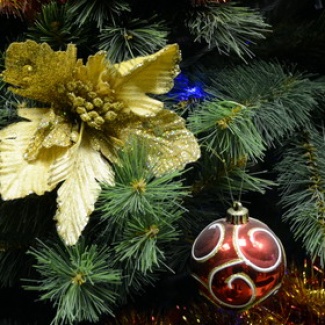 Новогоднее поздравление А.Н.Епишина