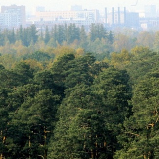 «Зеленый щит» для города