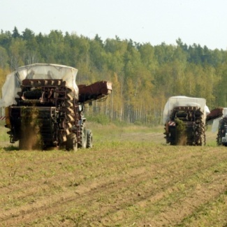 Проблемы села в формате большой дискуссии