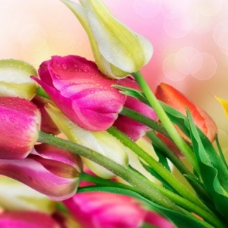 8 Марта – Международный женский день