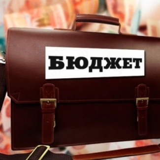 Исполнение регионального бюджета-2019: мнения региональных депутатов и муниципальной власти