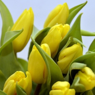 8 Марта – Международный женский день